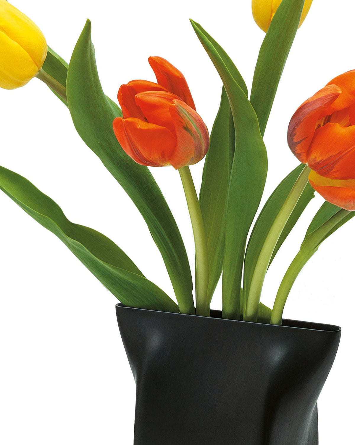 Pinch vase - Flower vase | ALESSI