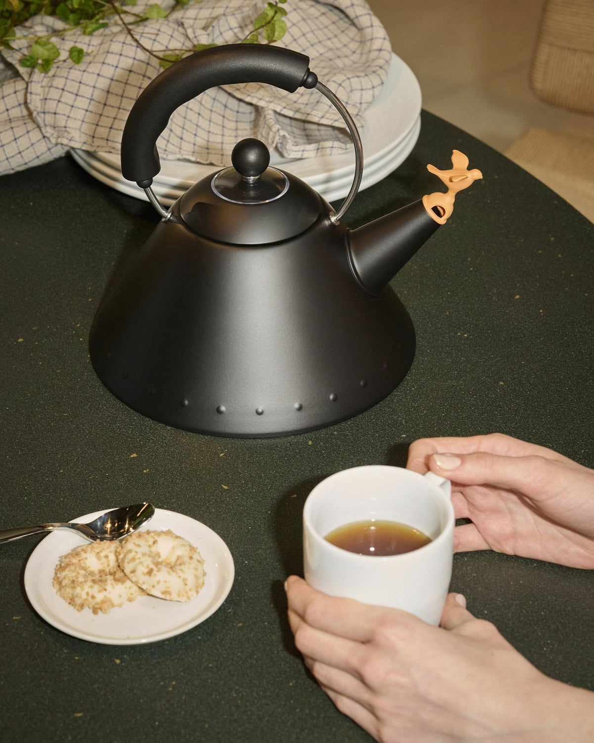 9093 40th anniversary: Induction Kettle By Michael Graves | ALESSI