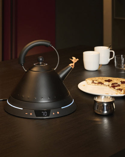 MG32: Electric Kettle Temperature Control By Michael Graves | ALESSI
