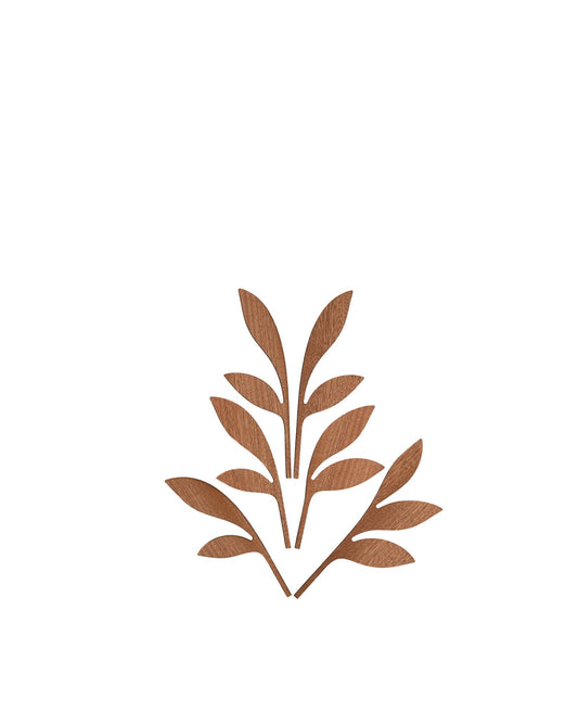 The Five Seasons: Fragrance diffuser leaves Ahhh | ALESSI