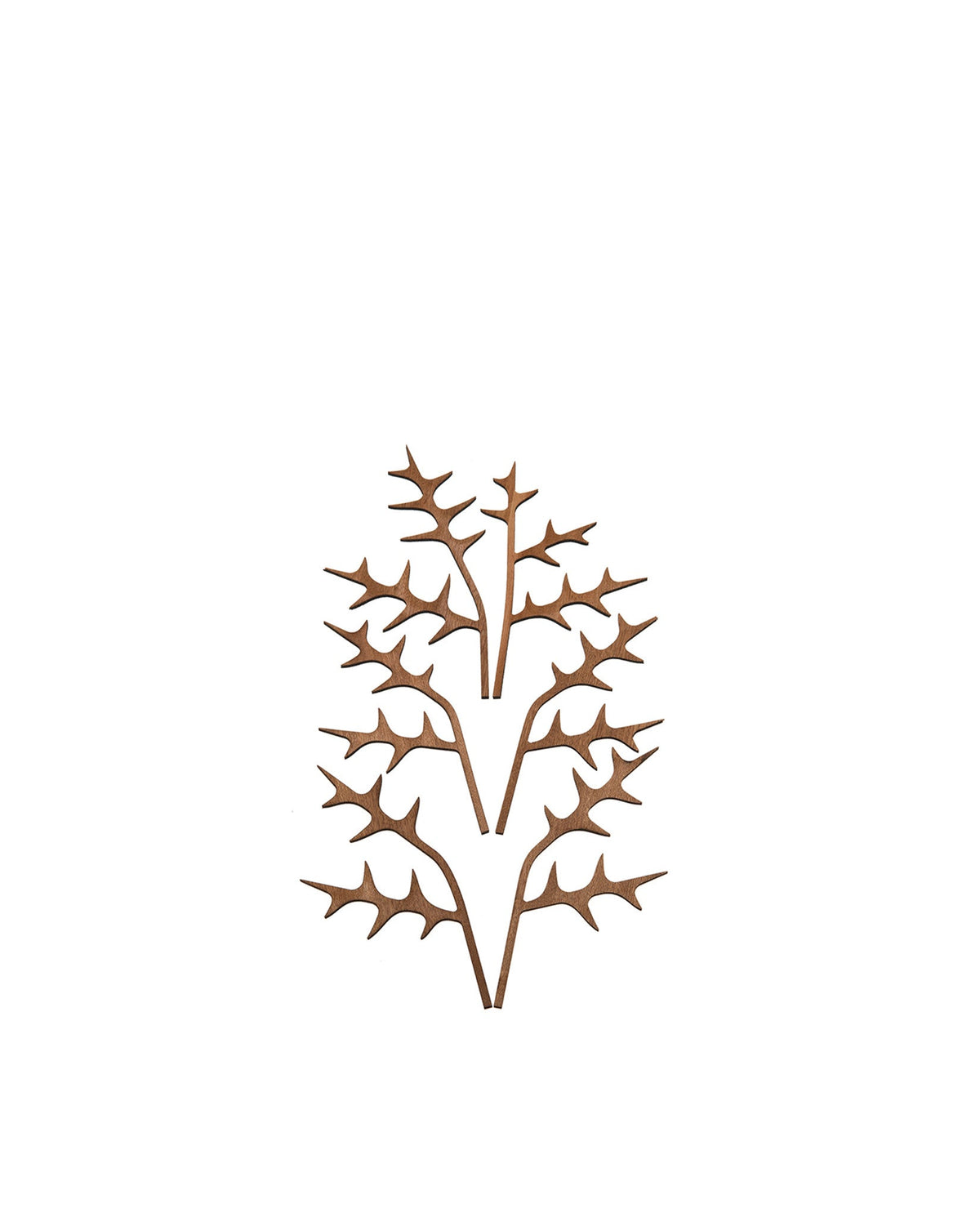 The Five Seasons Fragrance: diffuser leaves Ohhh | ALESSI