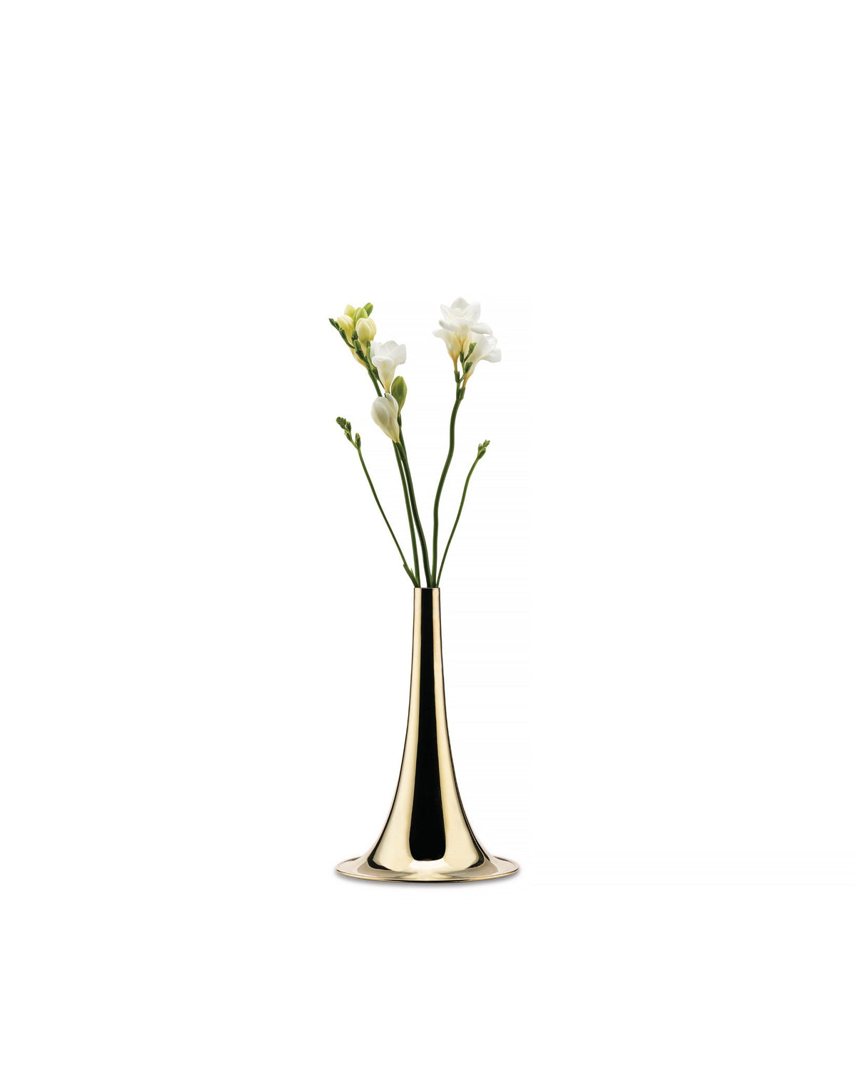 Trumpet: Flower vase By Michael Anastassiades | ALESSI