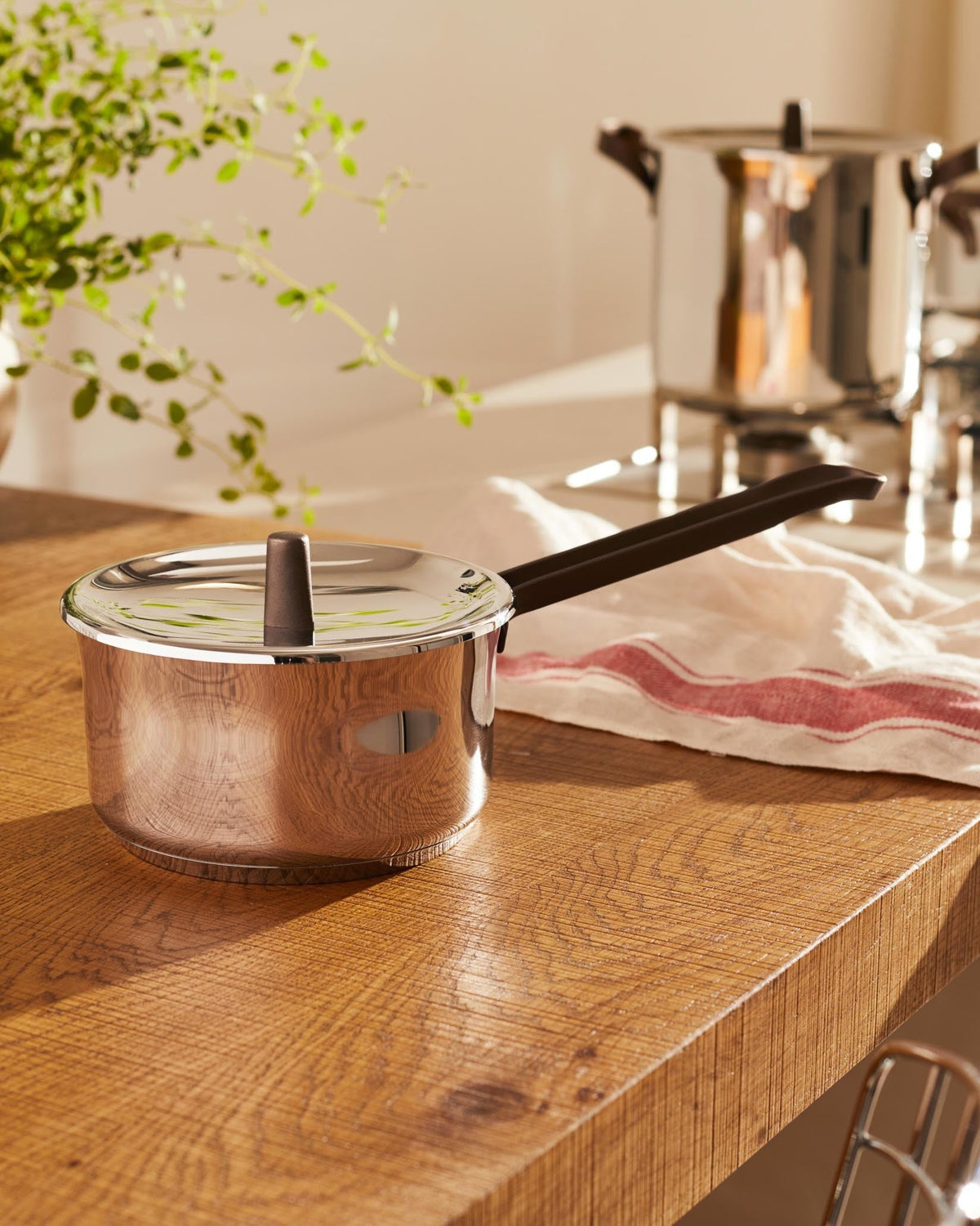 Edo Saucepan With Magnetic Steel Bottom | ALESSI